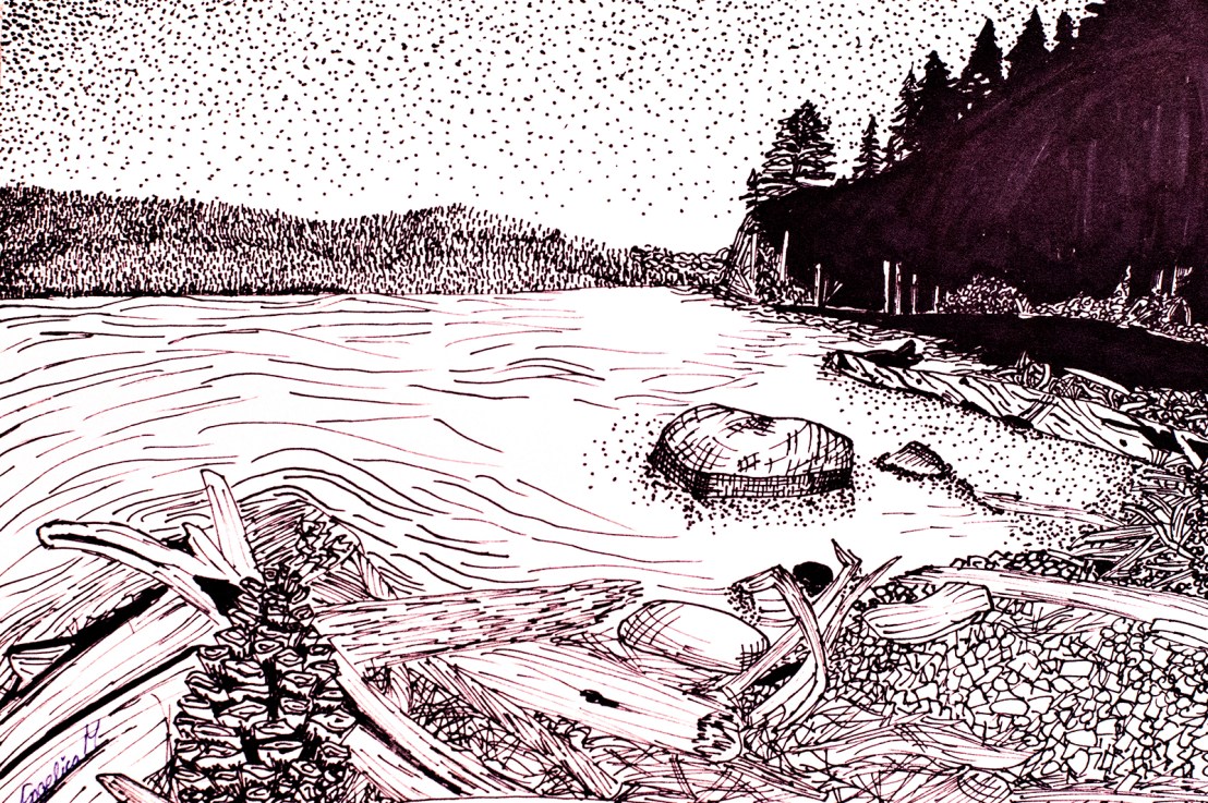 7th Grade – Mark-making and Pen&nbsp;Drawing