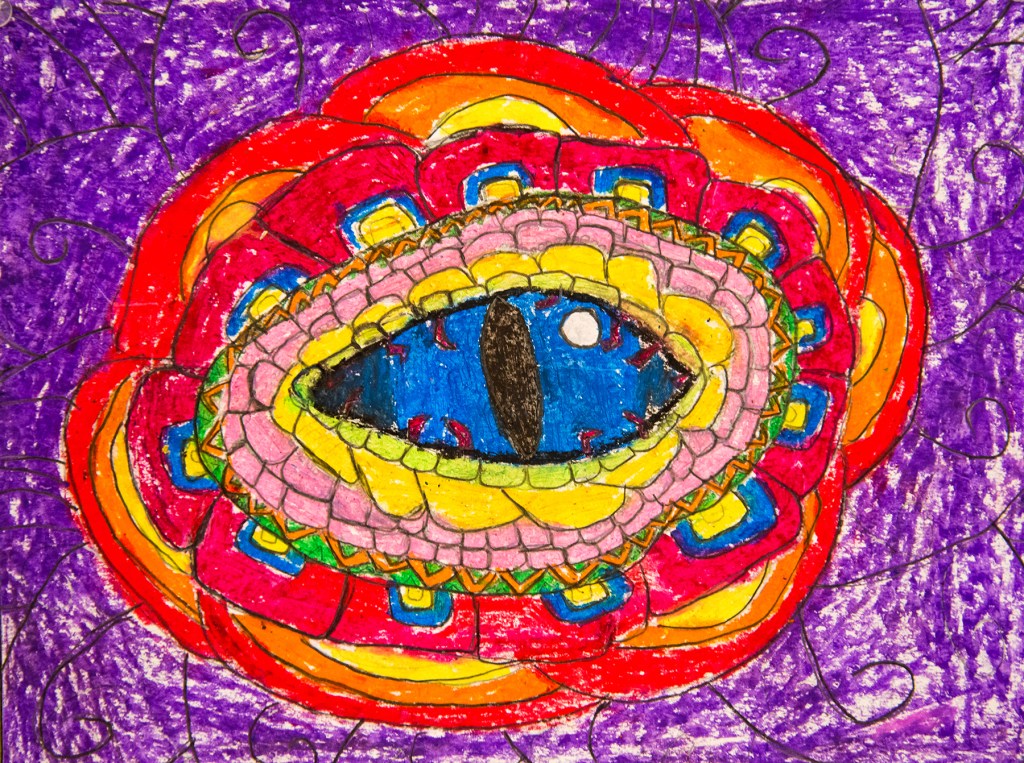 5th grade art lesson - magnified dragon eye