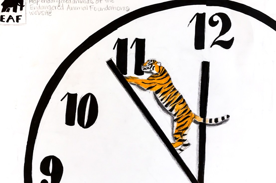 6th Grade – Nonprofit ads and reinforcing visual&nbsp;literacy