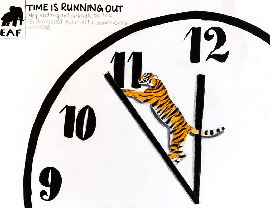 6th grade art lesson - Nonprofit organization advertisement to help endangered animals