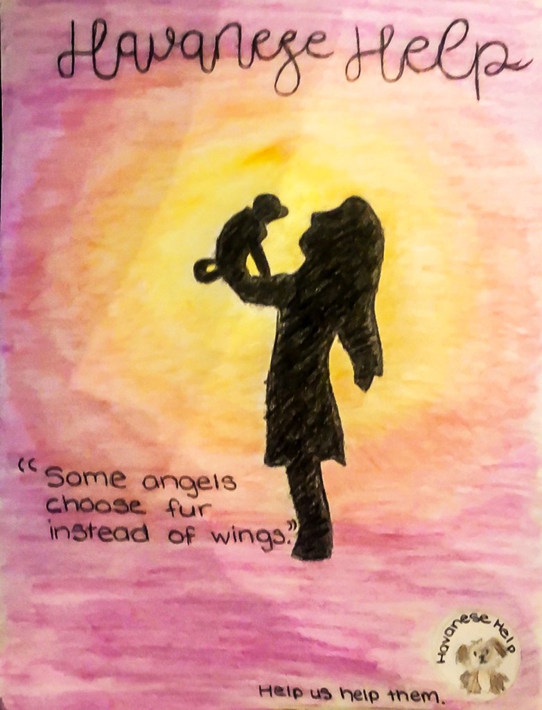 6th grade art lesson - Nonprofit organization advertisement advocating pet adoption