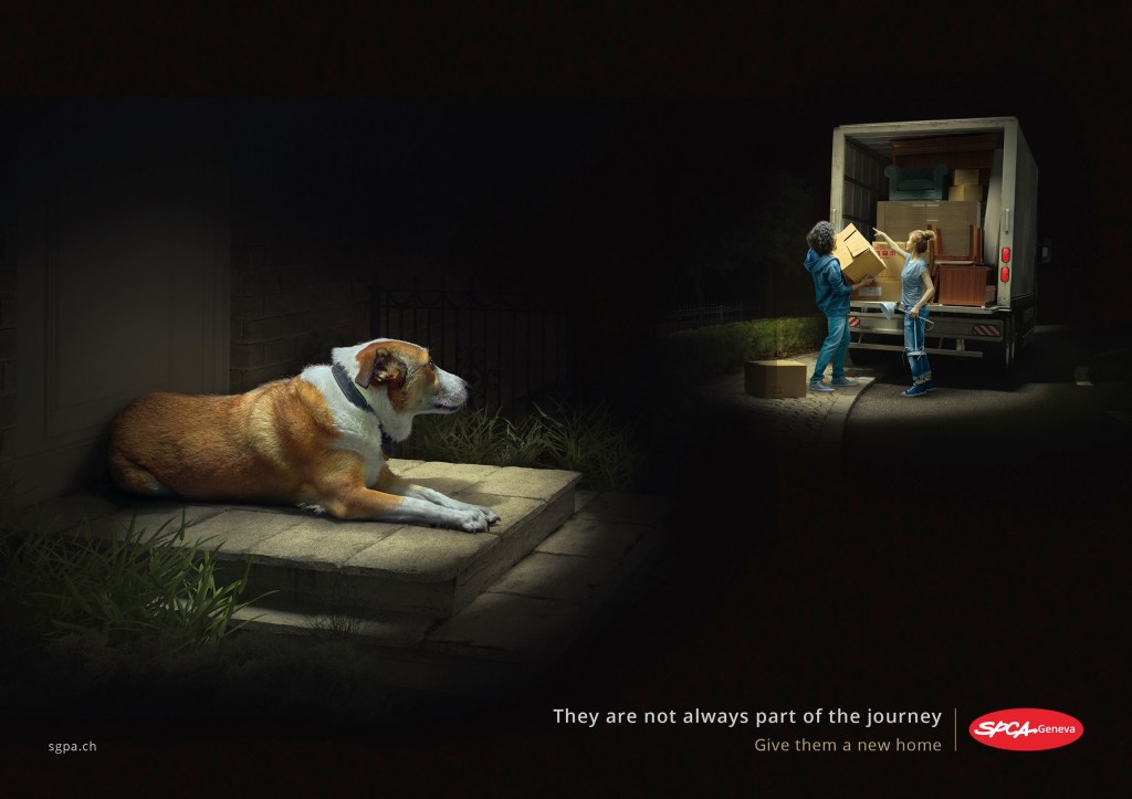 Talk about eliciting emotion: this SPCA ad against pet abandonment, with its starkly lit imagery against the black negative space nearly brings the students to tears.