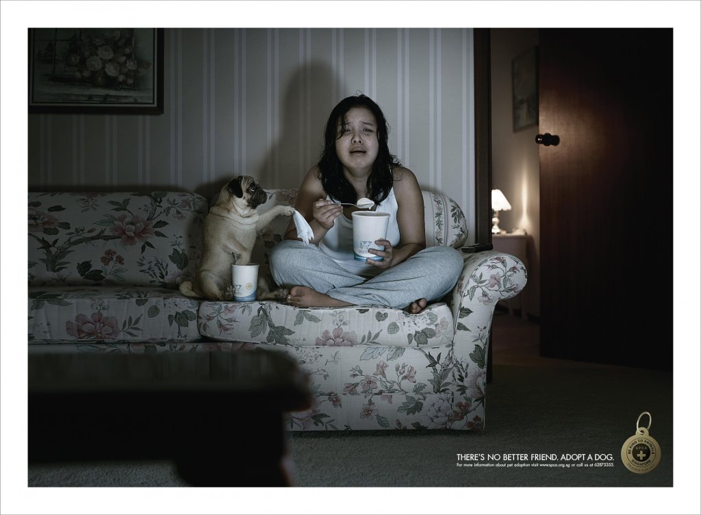 For this ad the SPCA chose to use humor to advocate pet adoption.