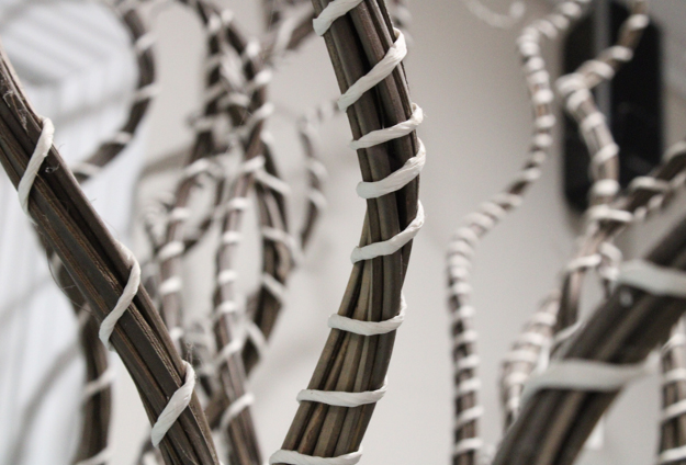 8th grade student image using aperture manipulation to express a shallow depth-of-field