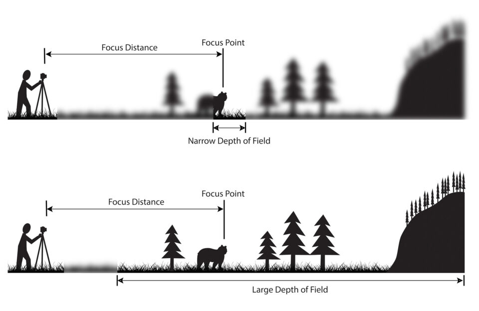 A graphic example of how depth of field works