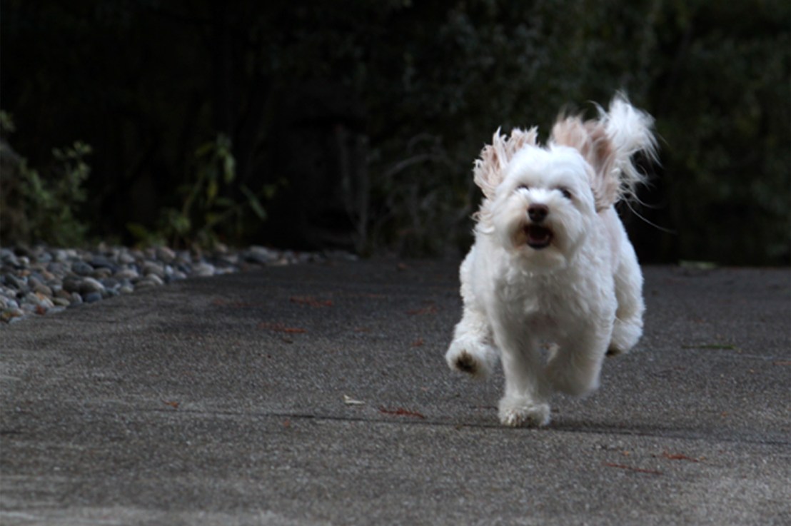 8th Grade – Photography Unit, Lesson 3: Shutter Speed &&nbsp;Motion