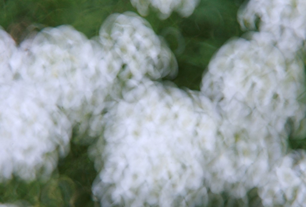 Once students get comfortable manipulating shutter speed, they venture onto abstract images slowing the shutter speed and moving the cameras themselves to create blur, like this student image here