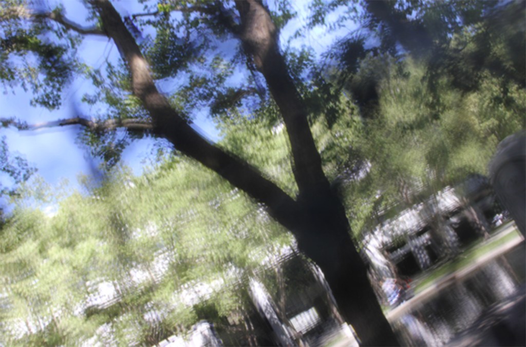 One last image in which the student moves the camera with a slower shutter speed to create this impressionistic image