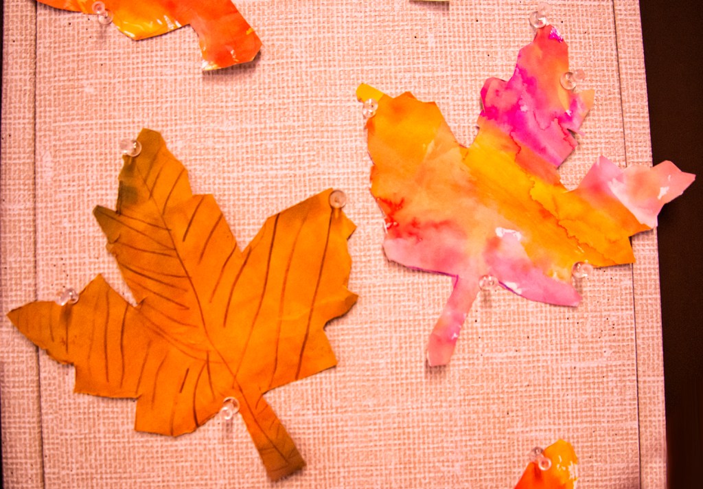 Kindergarten students' autumn leaves, made with warm colored bleeding tissue paper