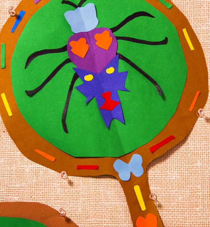 1st Grade – Insects under a Magnifying&nbsp;Glass