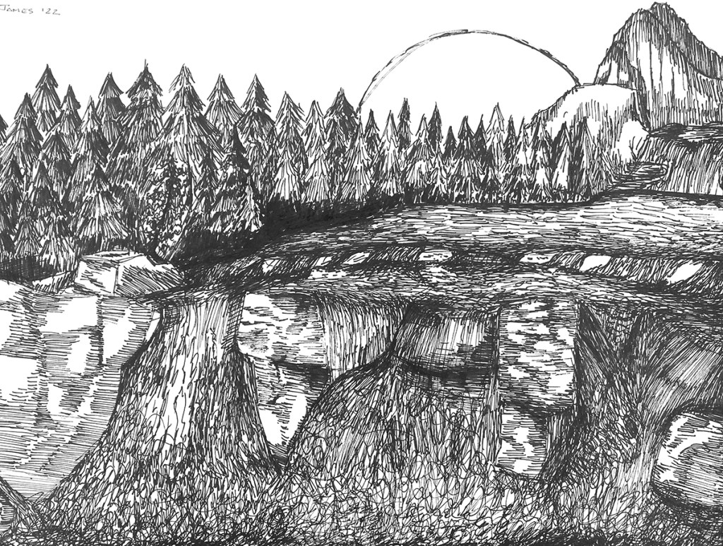 A pen landscape drawing by a middle school student